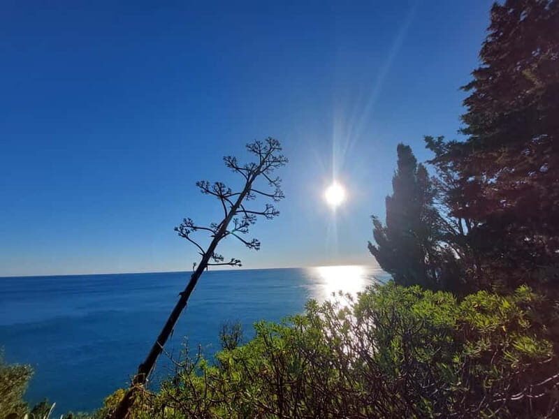 Cinque Terre Villages Walking panoramic tour - Key Things You’ll Notice Right Away