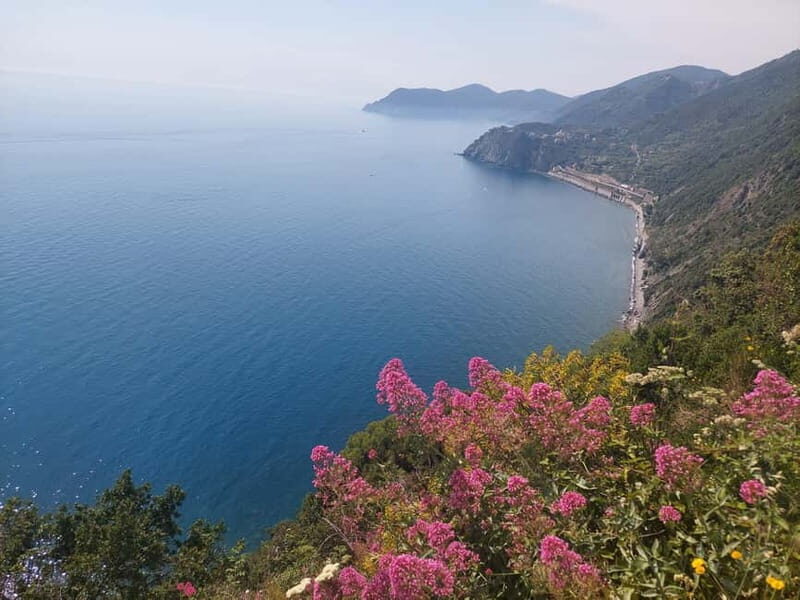 Cinque Terre Villages Walking panoramic tour - Getting Between Villages: Trains, the Card, and Why It Matters