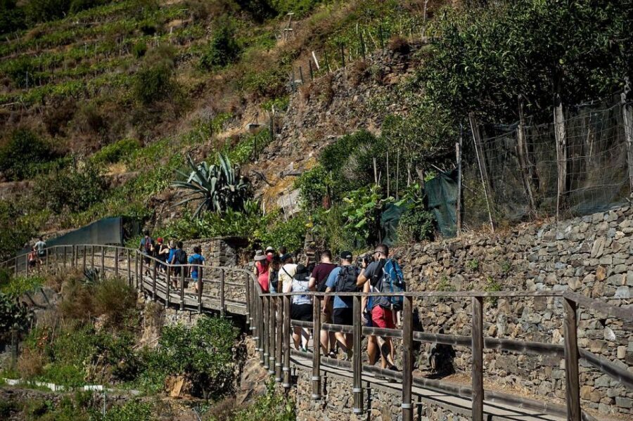 Private Cinque Terre Tour from Florence with Optional Hike - Key things that make this tour work