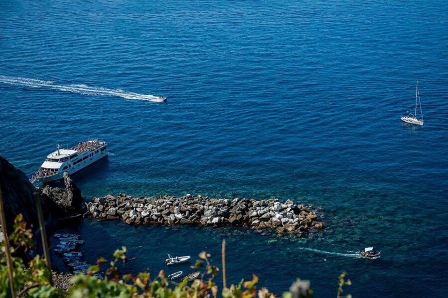 Private Cinque Terre Tour from Florence with Optional Hike - From Florence to Cinque Terre: the rhythm of an 8 a.m. start