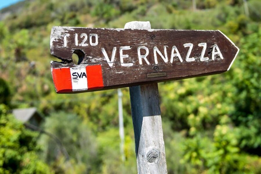 Private Cinque Terre Tour from Florence with Optional Hike - Vernazza: free time that lets you choose your pace
