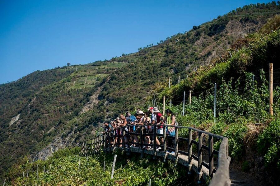 Private Cinque Terre Tour from Florence with Optional Hike - Price and value: what you’re paying for at $564.62 per person