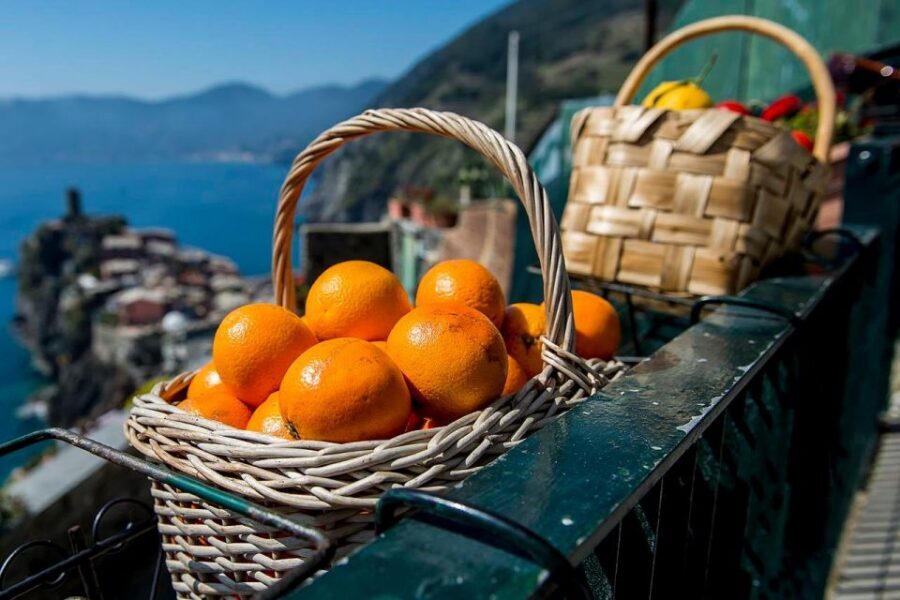 Private Cinque Terre Tour from Florence with Optional Hike - Practical tips so your legs stay on your side