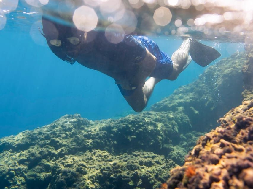 Snorkelling & Marine Biology Experience in the Cinque Terre - Quick highlights