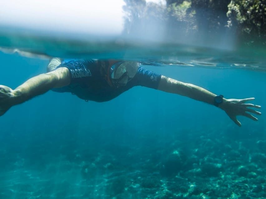 Snorkelling & Marine Biology Experience in the Cinque Terre - The main considerations before you go
