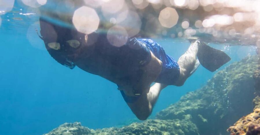 Snorkelling & Marine Biology Experience in the Cinque Terre - Why Cinque Terre eco-snorkeling feels different from a standard sea tour
